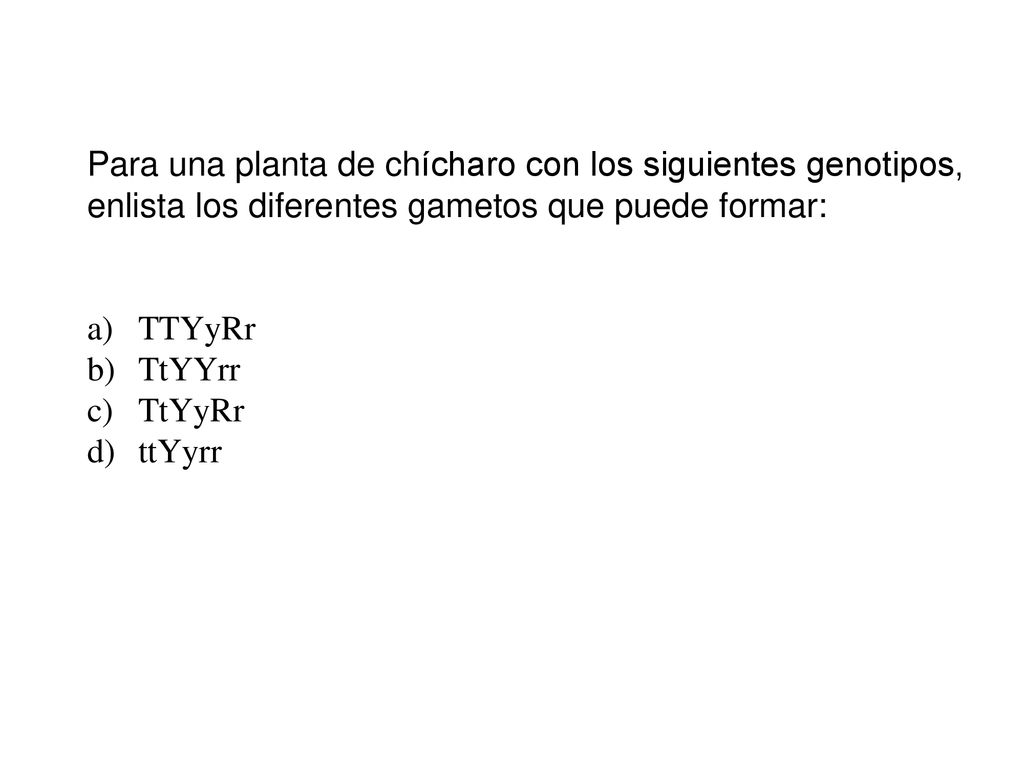Para una planta de chícharo con los siguientes genotipos,
