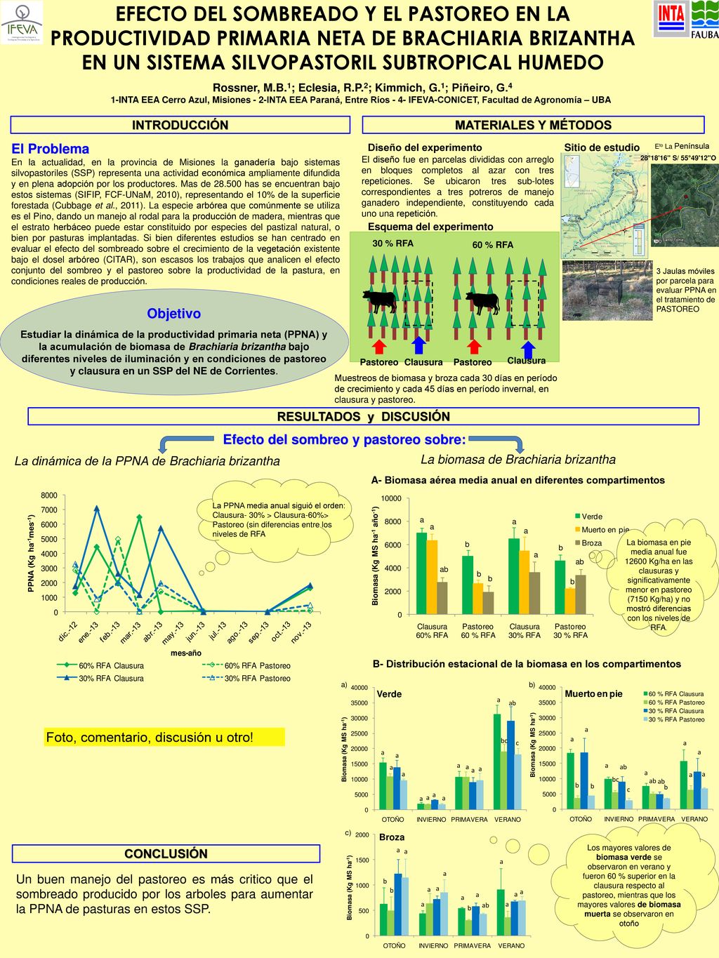Efecto DEL SOMBREADO Y EL PASTOREO EN LA PRODUCTIVIDAD PRIMARIA NETA DE BRACHIARIA BRIZANTHA EN UN SISTEMA SILVOPASTORIL SUBTROPICAl HUMEDO