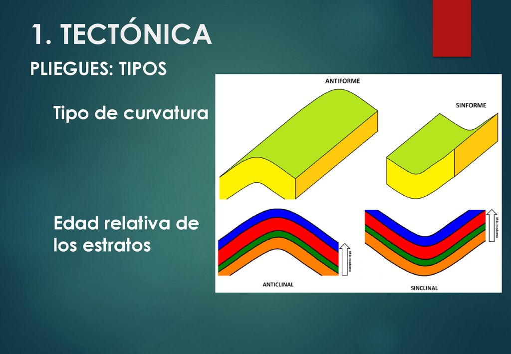 1. TECTÓNICA PLIEGUES: TIPOS Tipo de curvatura