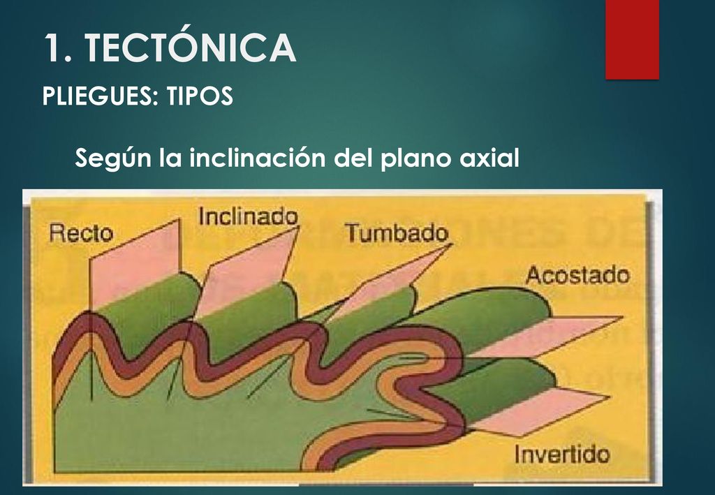 1. TECTÓNICA PLIEGUES: TIPOS Según la inclinación del plano axial