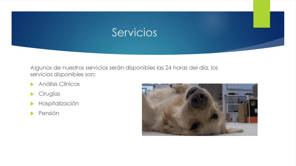 Servicios Algunos de nuestros servicios serán disponibles las 24 horas del día, los servicios disponibles son: