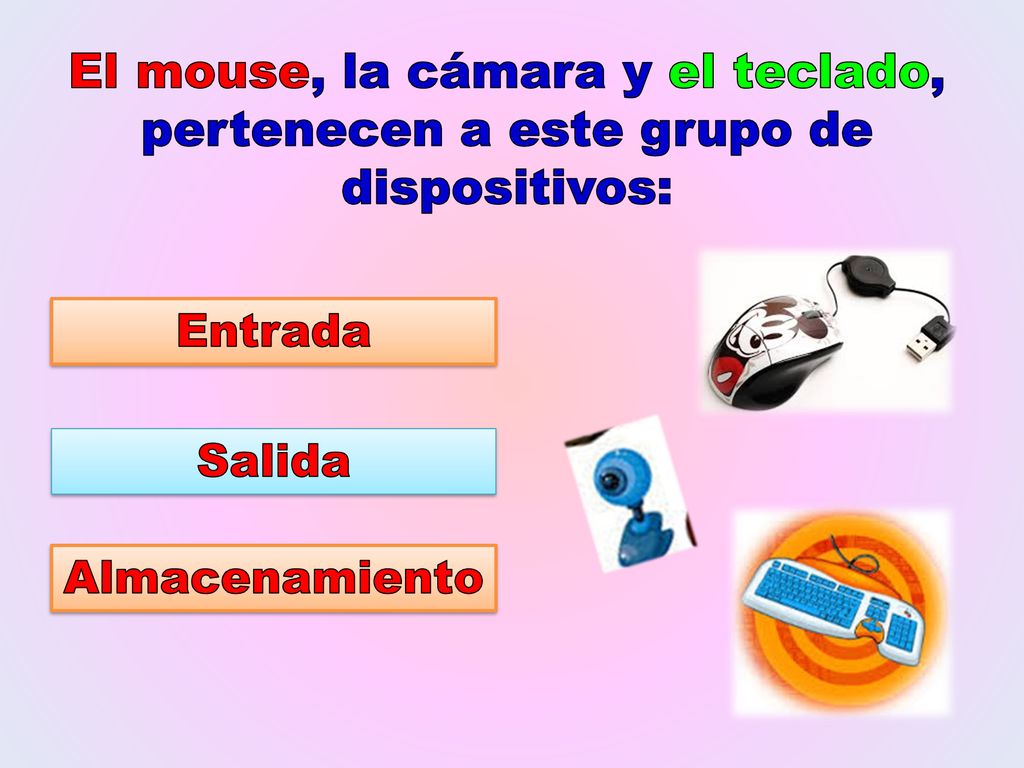El mouse, la cámara y el teclado, pertenecen a este grupo de dispositivos: