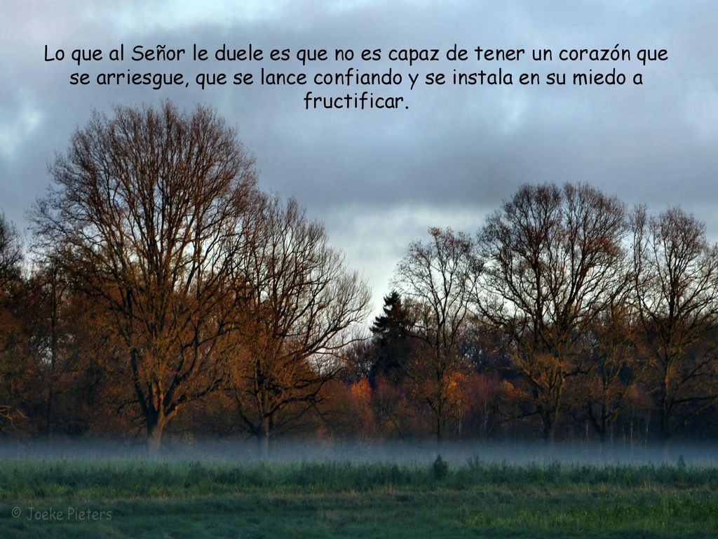 Lo que al Señor le duele es que no es capaz de tener un corazón que se arriesgue, que se lance confiando y se instala en su miedo a fructificar.