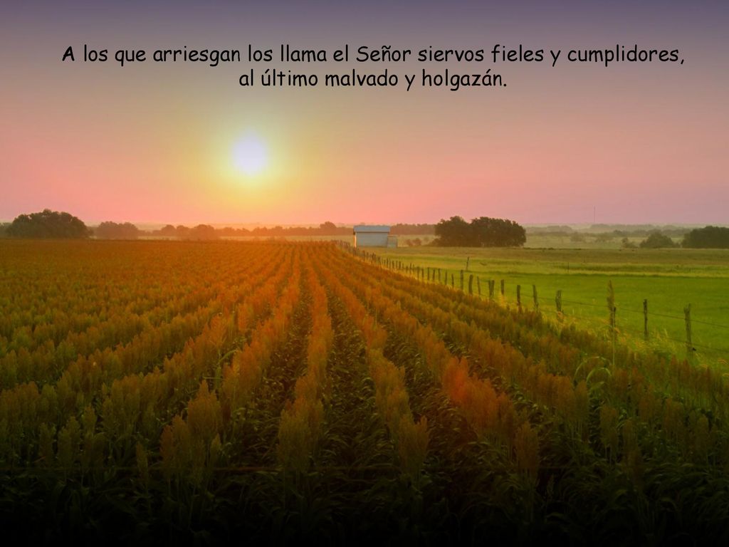 A los que arriesgan los llama el Señor siervos fieles y cumplidores, al último malvado y holgazán.