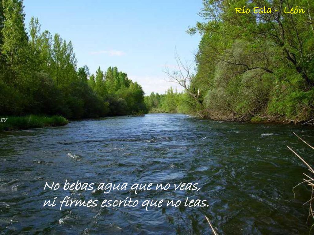 No bebas agua que no veas, ni firmes escrito que no leas.