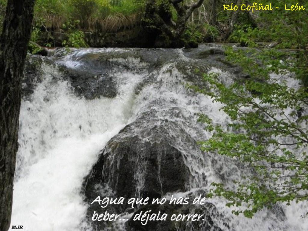 Agua que no has de beber… déjala correr.