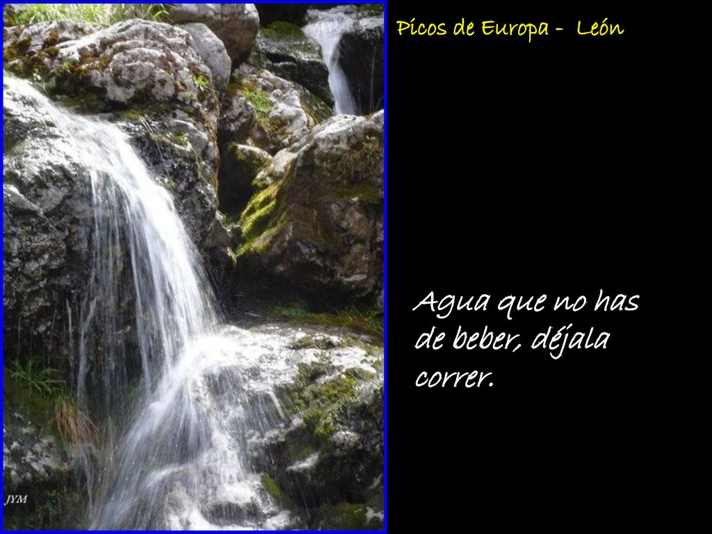Agua que no has de beber, déjala correr.