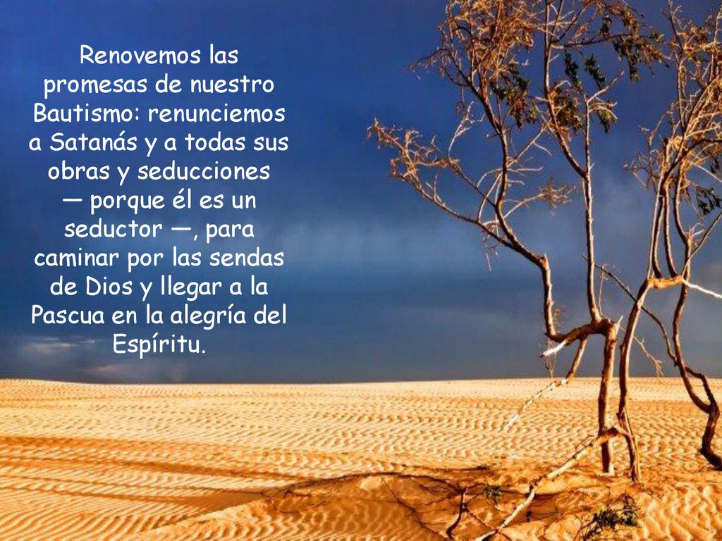 Renovemos las promesas de nuestro Bautismo: renunciemos a Satanás y a todas sus obras y seducciones — porque él es un seductor —, para caminar por las sendas de Dios y llegar a la Pascua en la alegría del Espíritu.