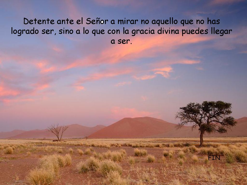 Detente ante el Señor a mirar no aquello que no has logrado ser, sino a lo que con la gracia divina puedes llegar a ser.