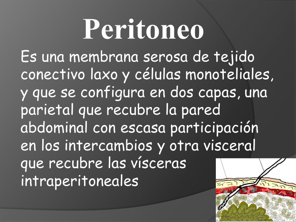 Peritoneo