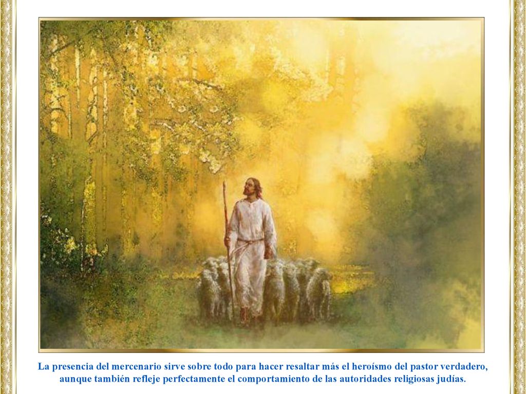 La presencia del mercenario sirve sobre todo para hacer resaltar más el heroísmo del pastor verdadero, aunque también refleje perfectamente el comportamiento de las autoridades religiosas judías.