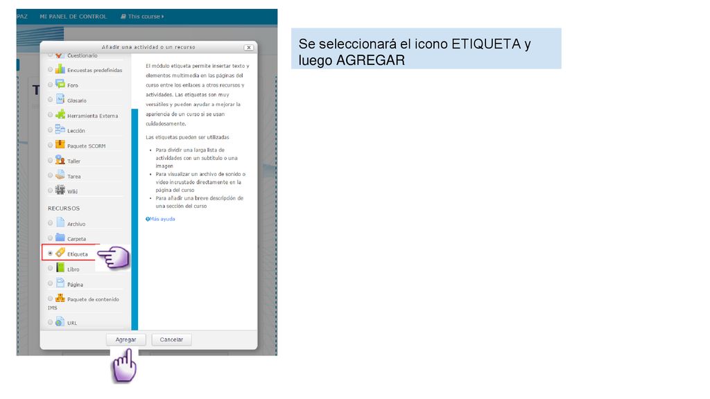 Se seleccionará el icono ETIQUETA y luego AGREGAR