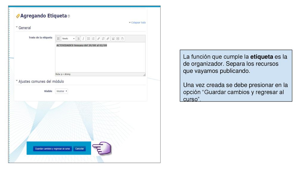 La función que cumple la etiqueta es la de organizador