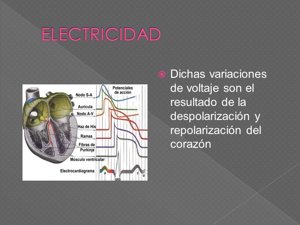 ELECTRICIDAD Dichas variaciones de voltaje son el resultado de la despolarización y repolarización del corazón.
