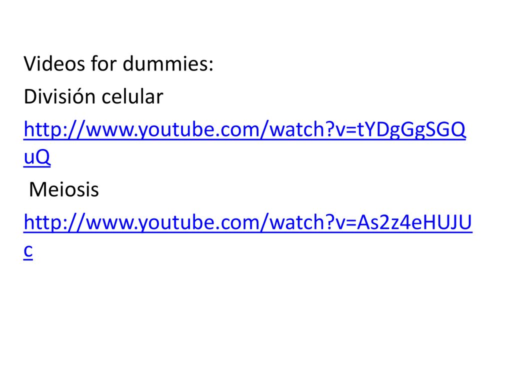 Videos for dummies: División celular   youtube. com/watch