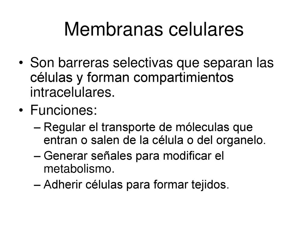 Membranas celulares Son barreras selectivas que separan las células y forman compartimientos intracelulares.