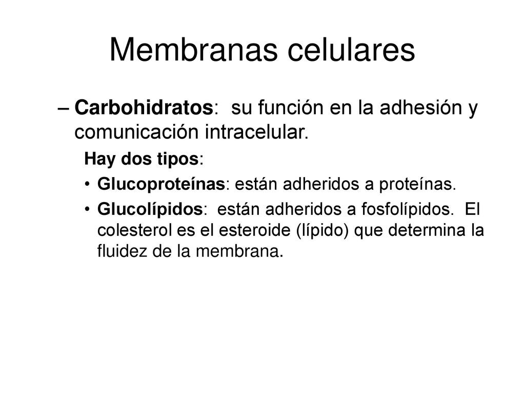 Membranas celulares Carbohidratos: su función en la adhesión y comunicación intracelular. Hay dos tipos: