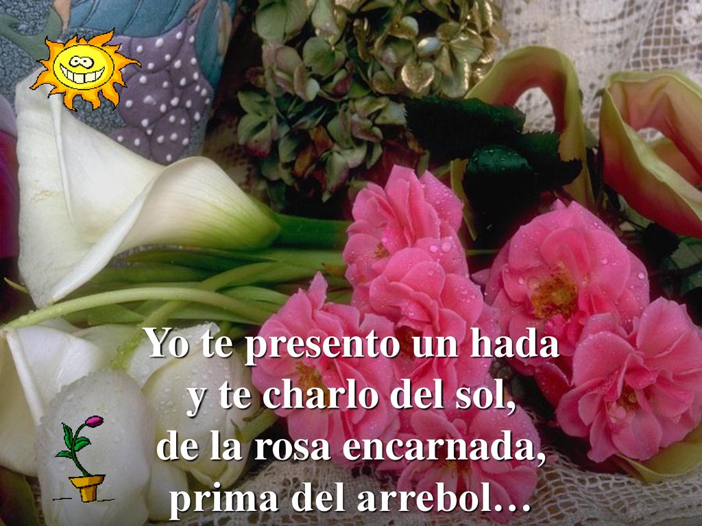 Yo te presento un hada y te charlo del sol, de la rosa encarnada, prima del arrebol…