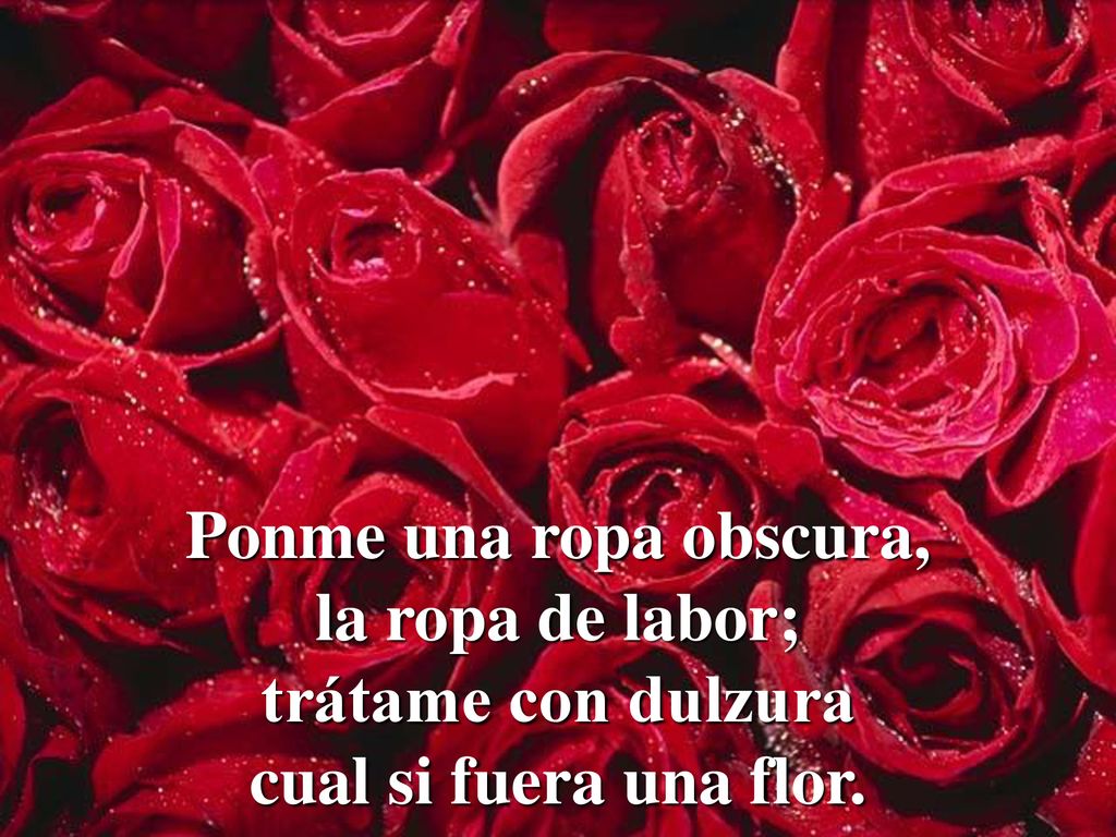 Ponme una ropa obscura, la ropa de labor; trátame con dulzura cual si fuera una flor.