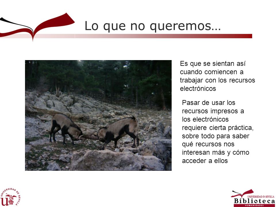Lo que no queremos… Es que se sientan así cuando comiencen a trabajar con los recursos electrónicos.