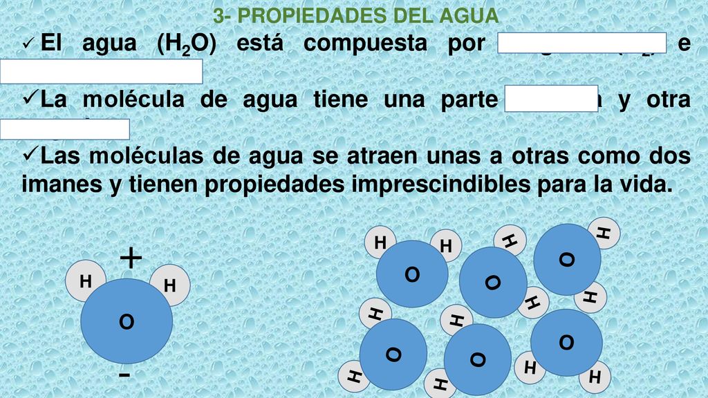 + - La molécula de agua tiene una parte positiva y otra negativa.