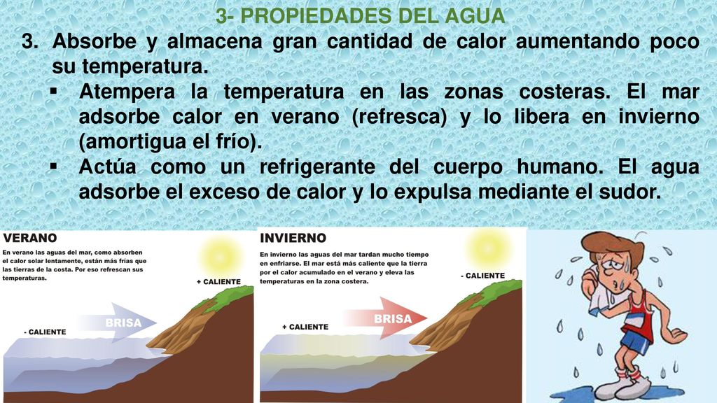 3- PROPIEDADES DEL AGUA Absorbe y almacena gran cantidad de calor aumentando poco su temperatura.