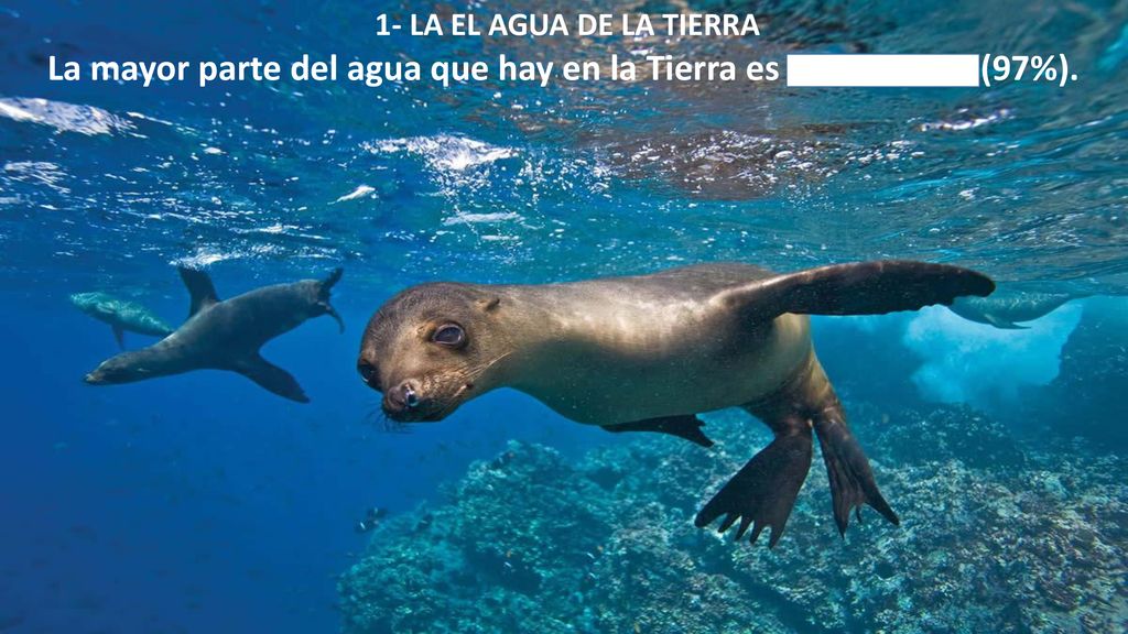 La mayor parte del agua que hay en la Tierra es agua salada (97%).