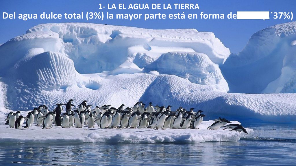 1- LA EL AGUA DE LA TIERRA Del agua dulce total (3%) la mayor parte está en forma de hielo (2´37%)