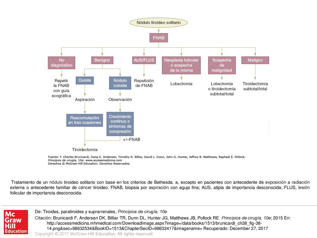 Tratamiento de un nódulo tiroideo solitario con base en los criterios de Bethesda. a, excepto en pacientes con antecedente de exposición a radiación externa o antecedente familiar de cáncer tiroideo. FNAB, biopsia por aspiración con aguja fina; AUS, atipia de importancia desconocida; FLUS, lesión folicular de importancia desconocida.