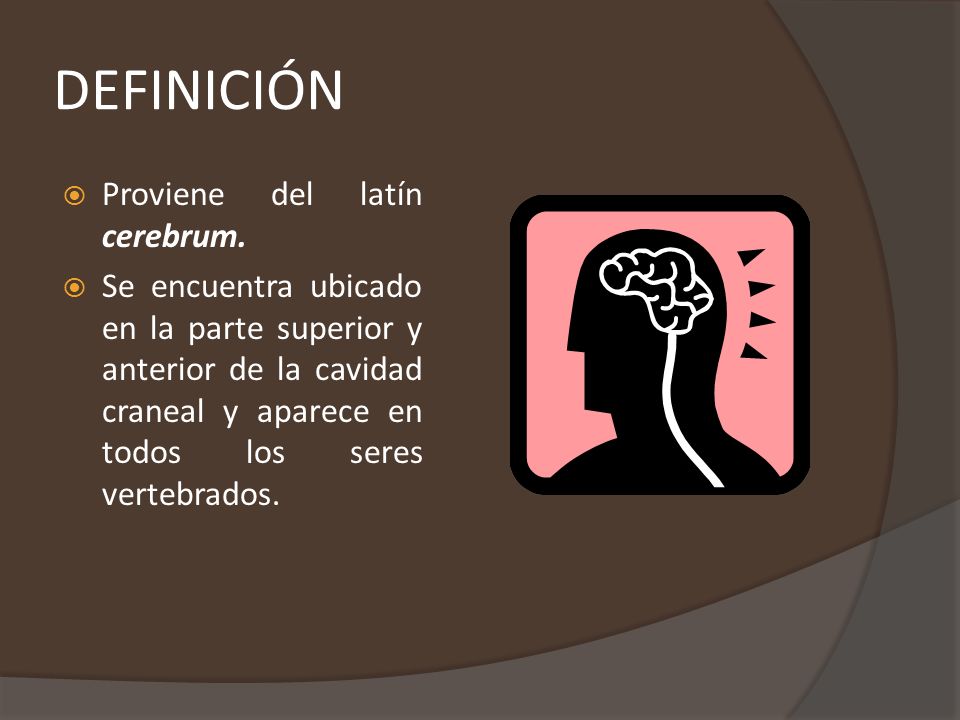DEFINICIÓN Proviene del latín cerebrum.