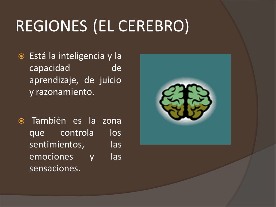 REGIONES (EL CEREBRO) Está la inteligencia y la capacidad de aprendizaje, de juicio y razonamiento.