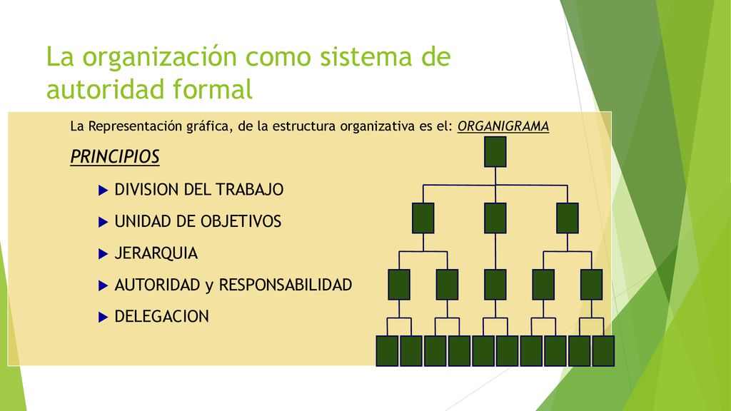 La organización como sistema de autoridad formal