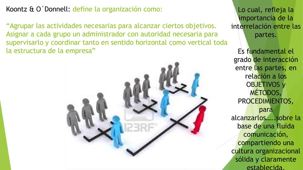 Lo cual, refleja la importancia de la interrelación entre las partes.