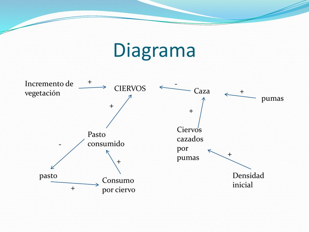 Diagrama + Incremento de vegetación - CIERVOS Caza + pumas + +
