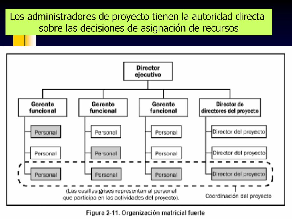 Los administradores de proyecto tienen la autoridad directa