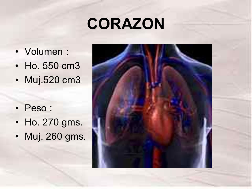 CORAZON Volumen : Ho. 550 cm3 Muj.520 cm3 Peso : Ho. 270 gms.
