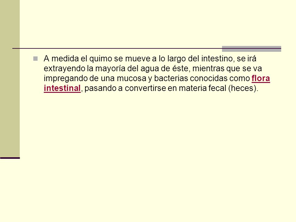 A medida el quimo se mueve a lo largo del intestino, se irá extrayendo la mayoría del agua de éste, mientras que se va impregando de una mucosa y bacterias conocidas como flora intestinal, pasando a convertirse en materia fecal (heces).