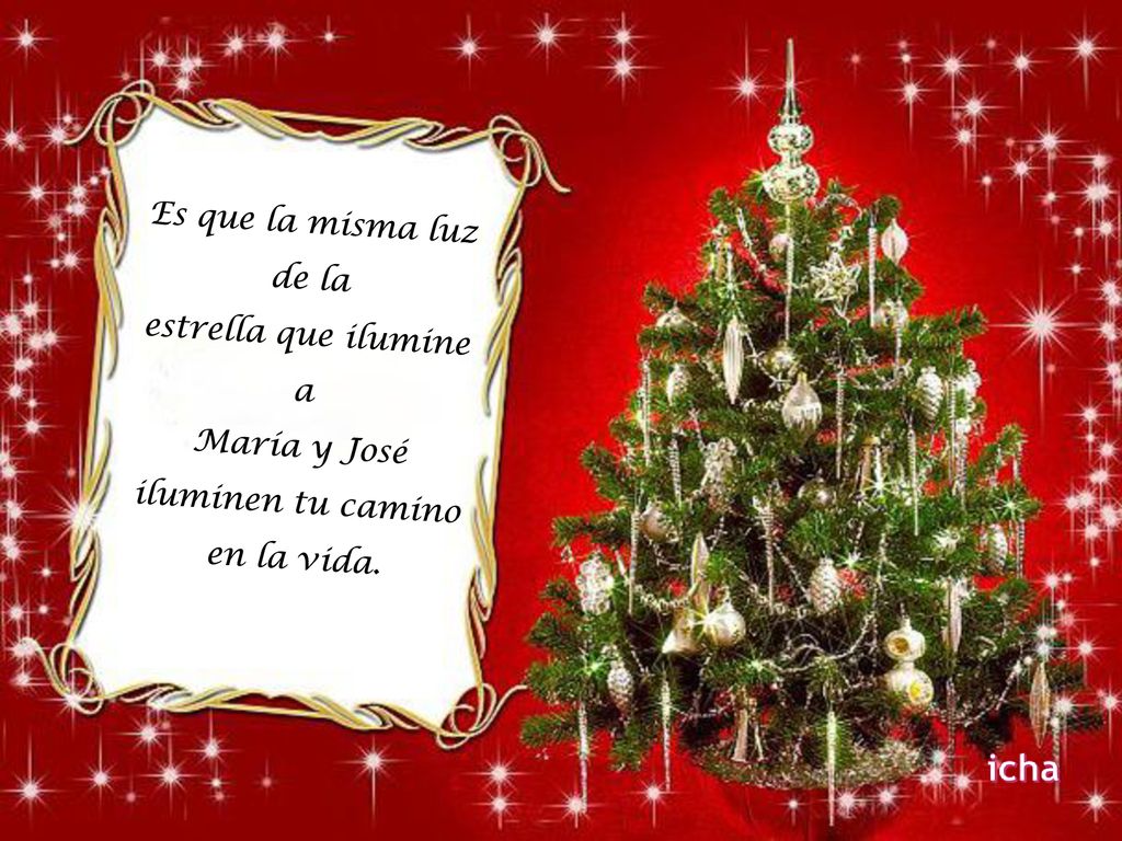 Es que la misma luz de la estrella que ilumine a María y José iluminen tu camino en la vida.
