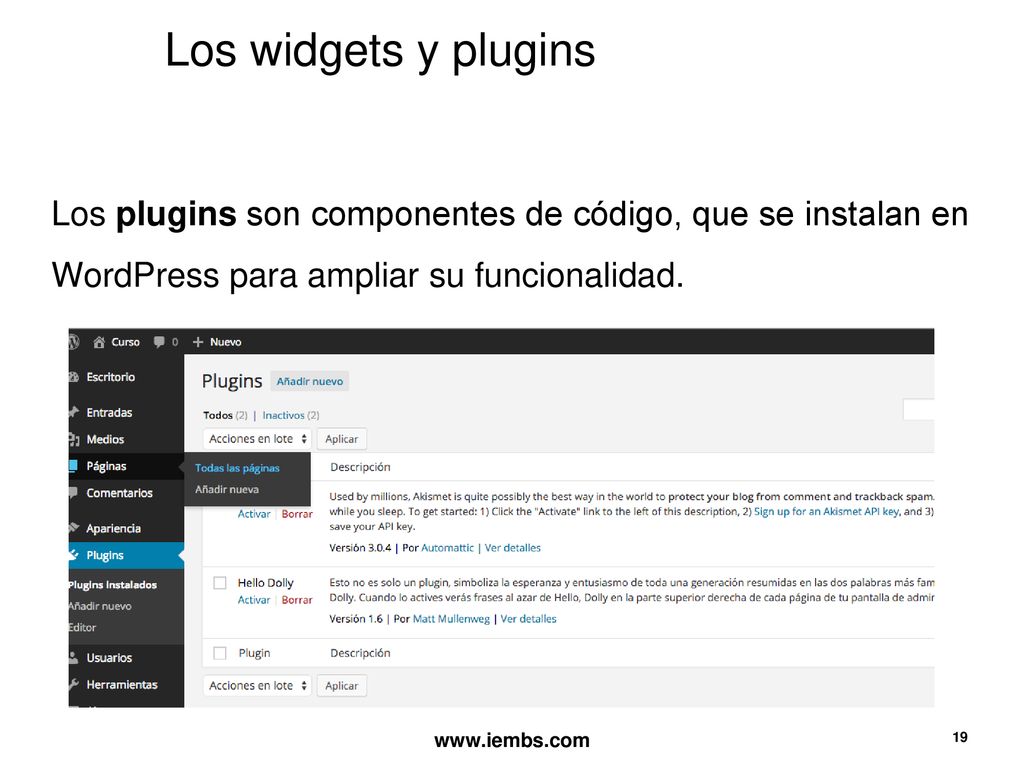 Los widgets y plugins Los plugins son componentes de código, que se instalan en WordPress para ampliar su funcionalidad.