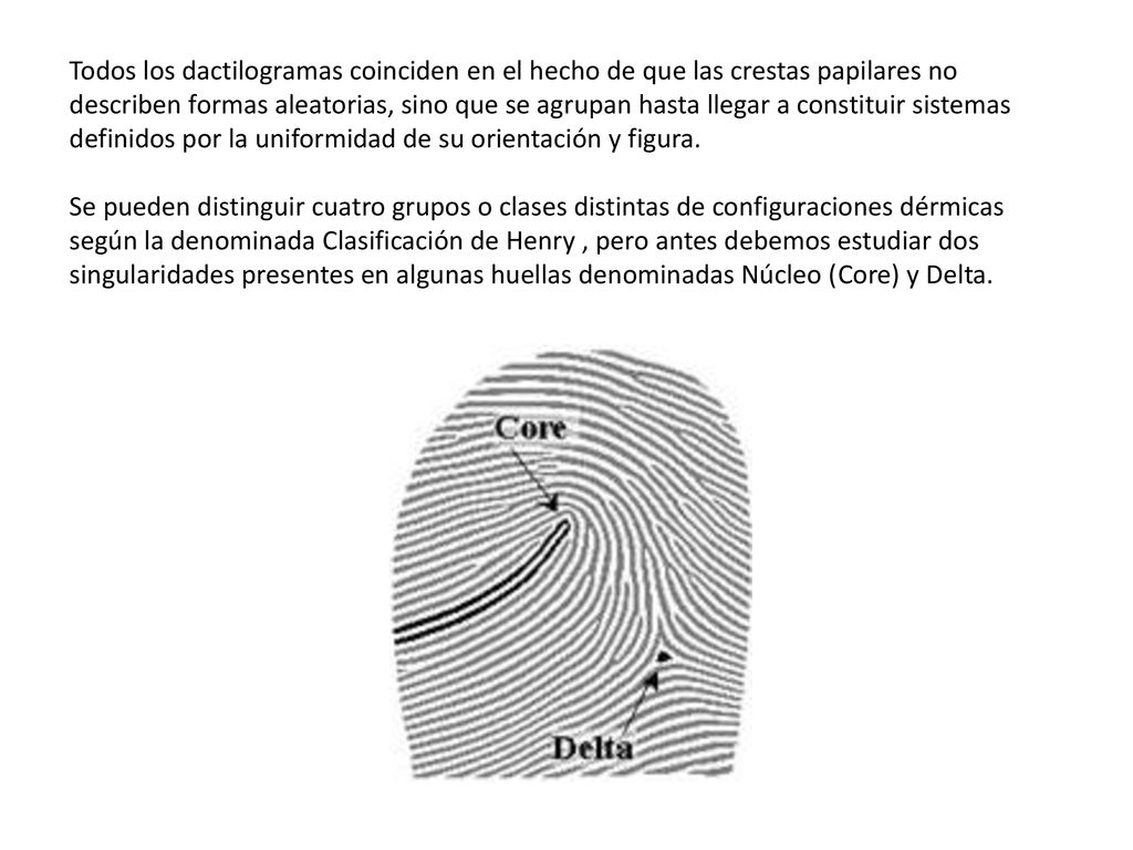 Todos los dactilogramas coinciden en el hecho de que las crestas papilares no describen formas aleatorias, sino que se agrupan hasta llegar a constituir sistemas definidos por la uniformidad de su orientación y figura.