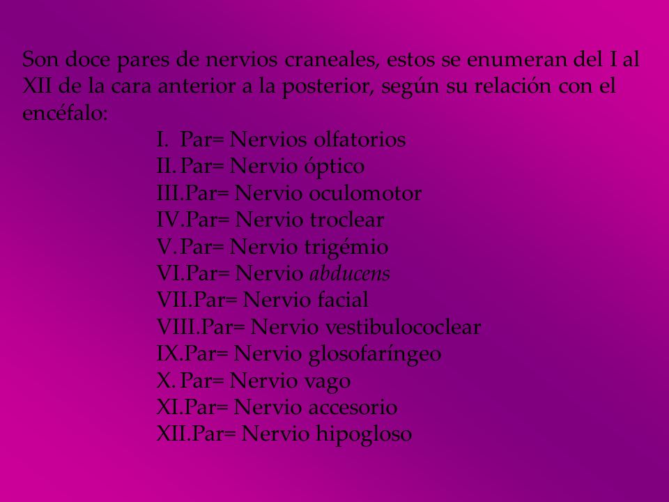 Son doce pares de nervios craneales, estos se enumeran del I al XII de la cara anterior a la posterior, según su relación con el encéfalo: