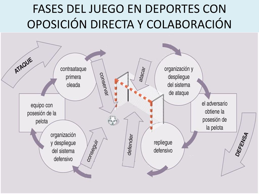 FASES DEL JUEGO EN DEPORTES CON OPOSICIÓN DIRECTA Y COLABORACIÓN