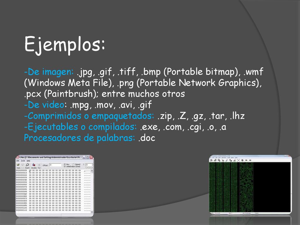 Ejemplos: -De imagen:. jpg,. gif,. tiff,. bmp (Portable bitmap),