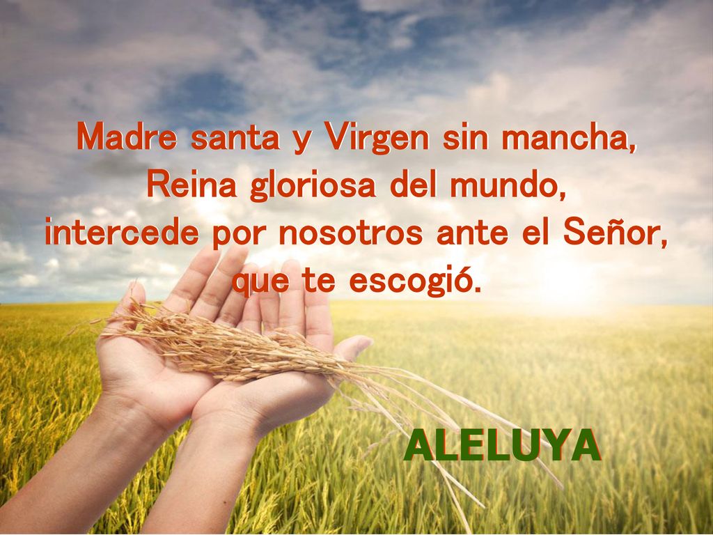 ALELUYA Madre santa y Virgen sin mancha, Reina gloriosa del mundo,
