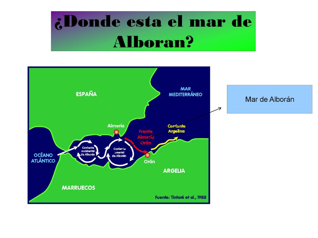 ¿Donde esta el mar de Alboran Mar de Alborán
