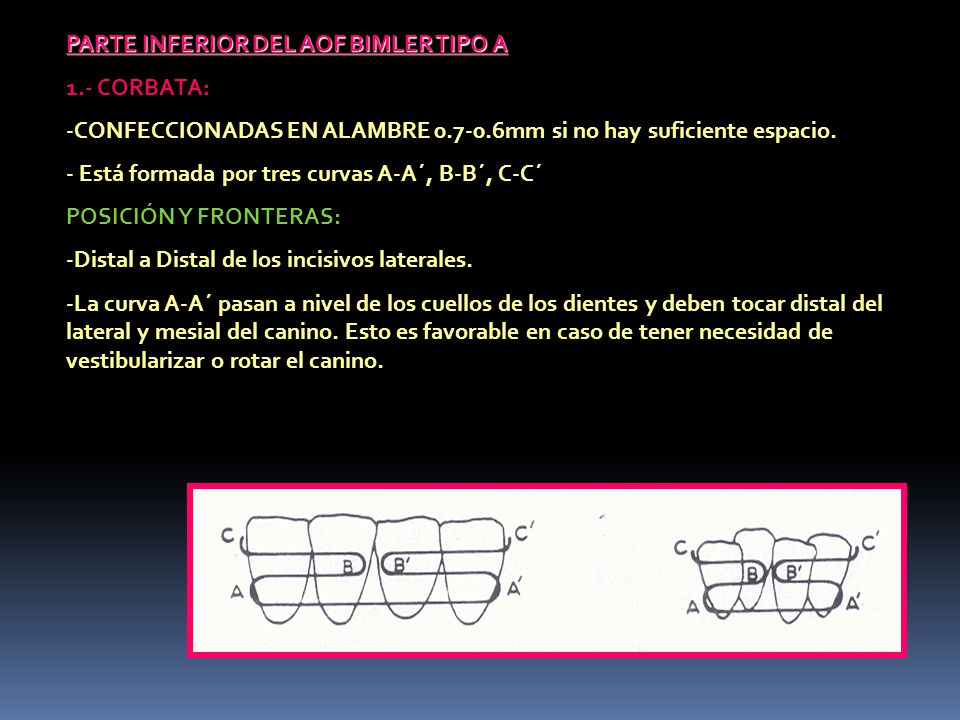 PARTE INFERIOR DEL AOF BIMLER TIPO A