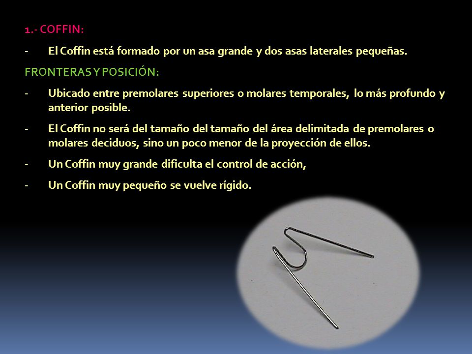 1.- COFFIN: El Coffin está formado por un asa grande y dos asas laterales pequeñas. FRONTERAS Y POSICIÓN: