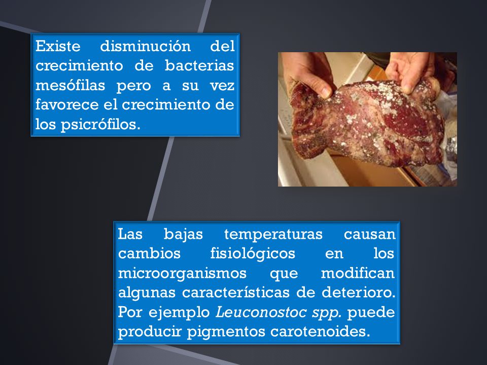 Existe disminución del crecimiento de bacterias mesófilas pero a su vez favorece el crecimiento de los psicrófilos.