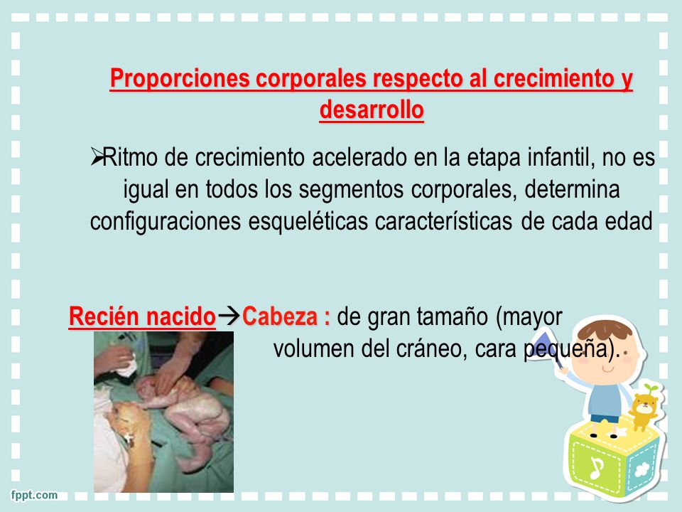 Proporciones corporales respecto al crecimiento y desarrollo