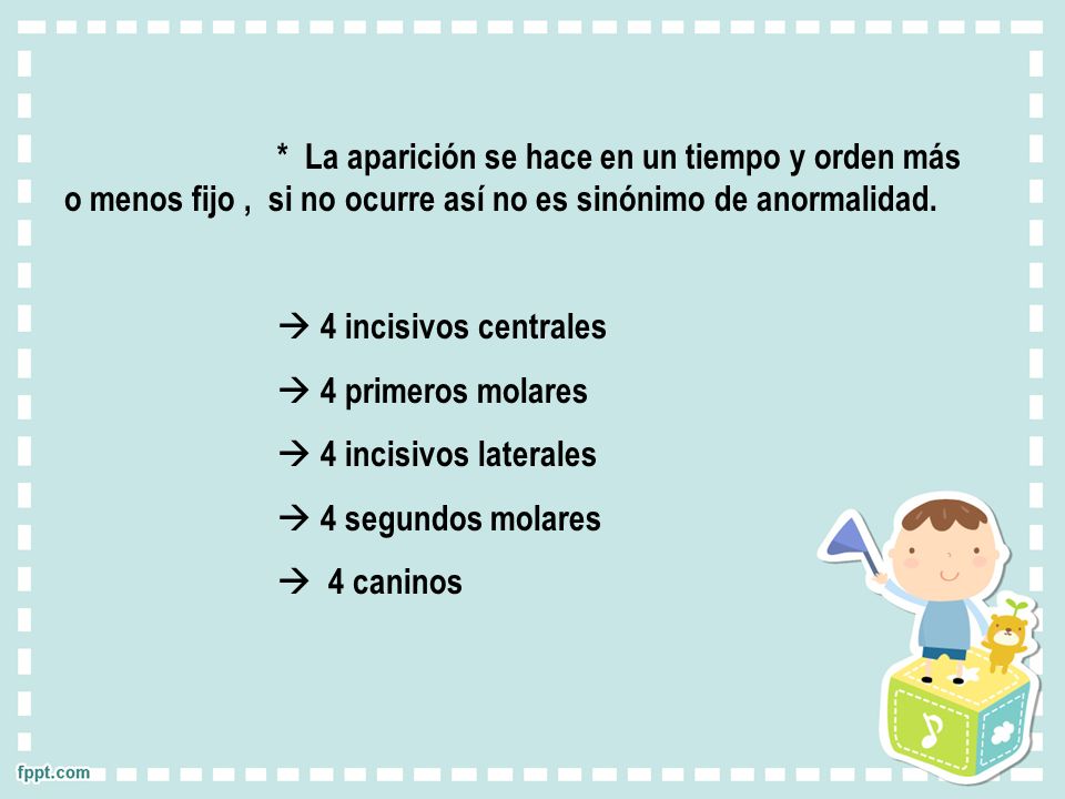 * La aparición se hace en un tiempo y orden más o menos fijo , si no ocurre así no es sinónimo de anormalidad.